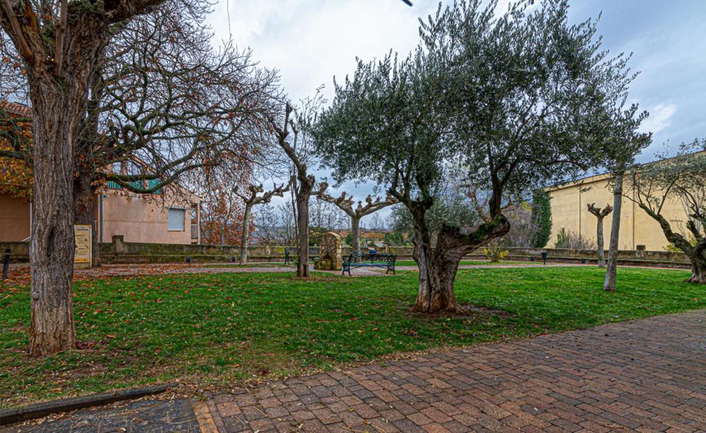 Apartamento Virgen Del Valle 세니세로 외부 사진